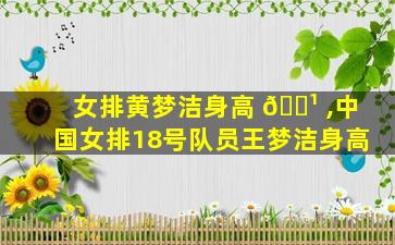 女排黄梦洁身高 🌹 ,中国女排18号队员王梦洁身高